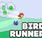 Bird Runner