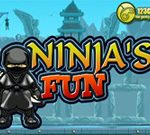 Ninja Fun